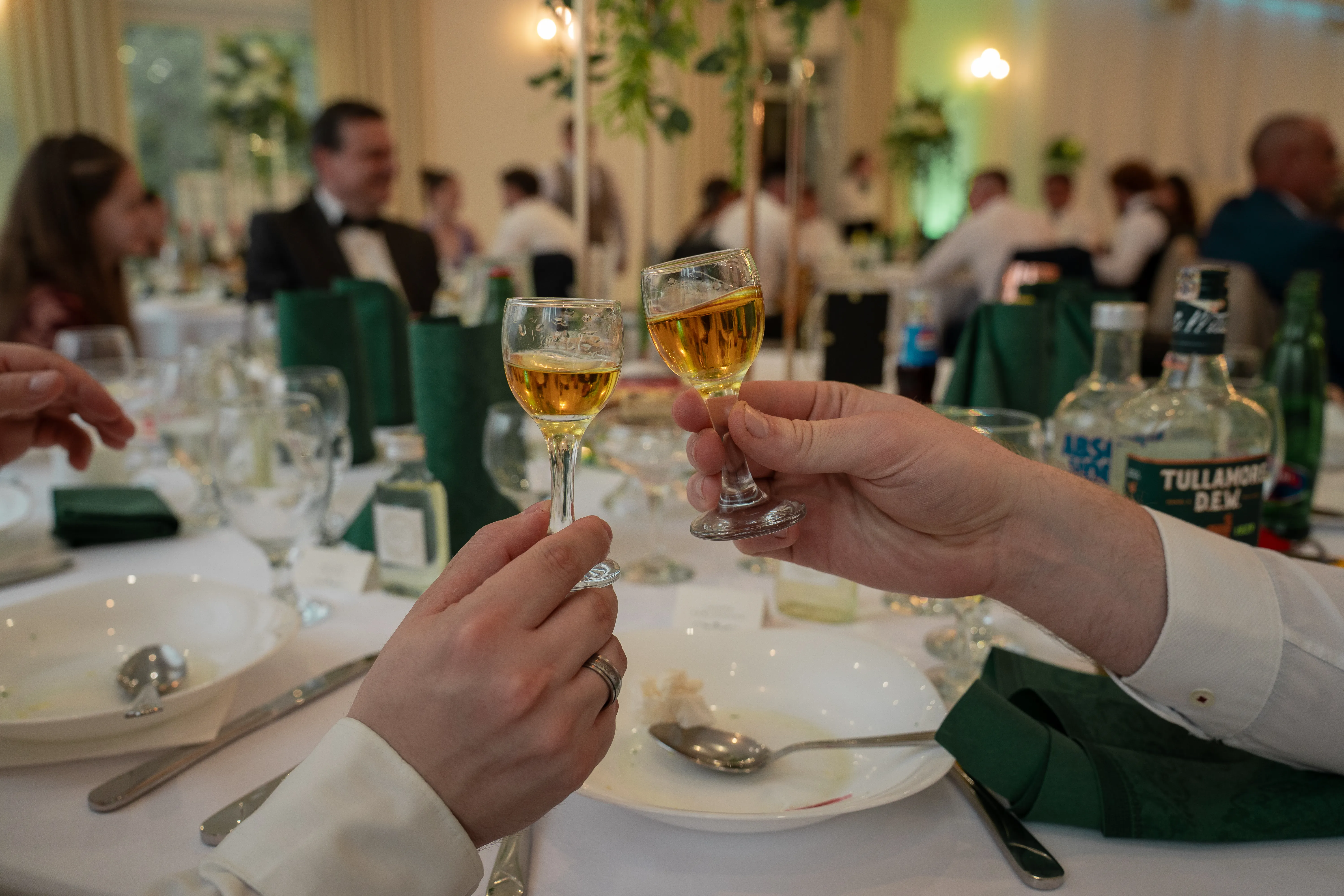 Prípitok počas hostiny